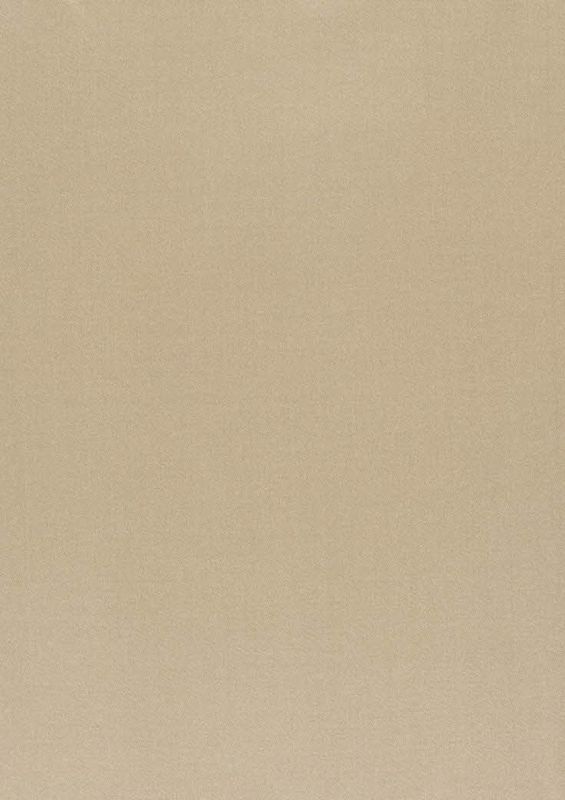 321_Amilly_31_Vion_Beige/Vion 137 60% Cotton, 40% Polyester Бельгия 3 000 руб.