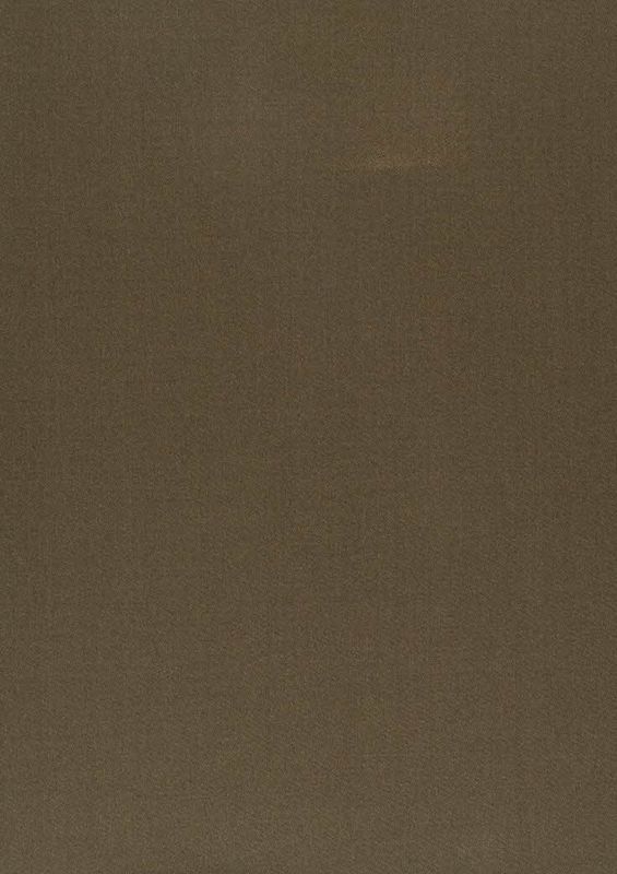 321_Amilly_32_Vion_Bronze/Vion 137 60% Cotton, 40% Polyester Бельгия 3 000 руб.