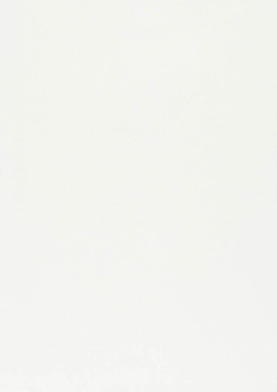 321_Amilly_41_Vion_Ice/Vion 137 60% Cotton, 40% Polyester Бельгия 3 000 руб.