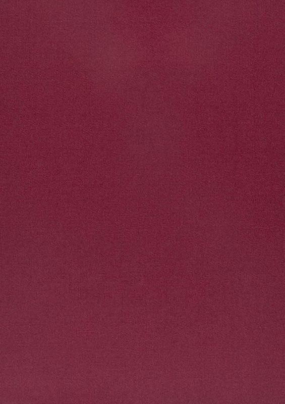 321_Amilly_47_Vion_Passion/Vion 137 60% Cotton, 40% Polyester Бельгия 3 000 руб.
