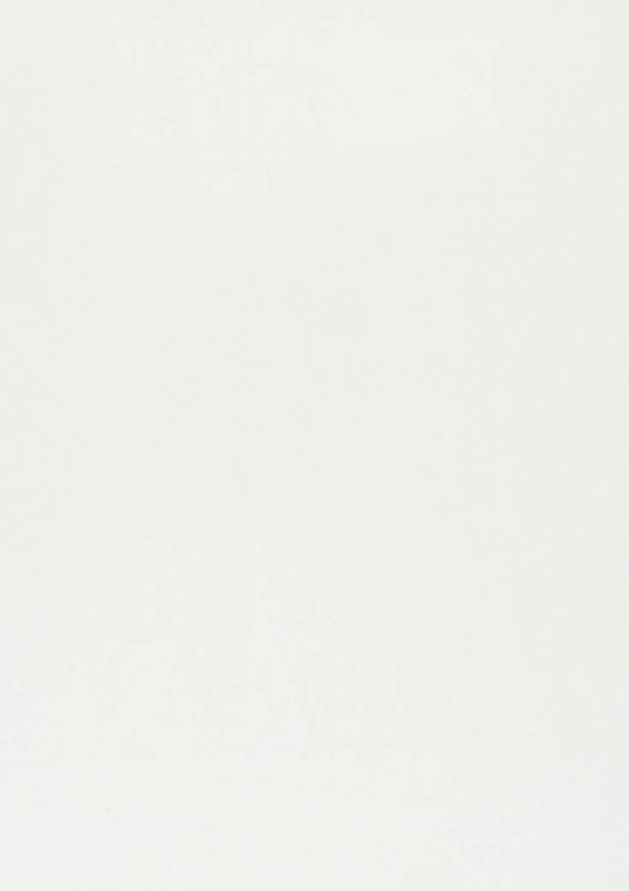 321_Amilly_48_Vion_Pearl/Vion 137 60% Cotton, 40% Polyester Бельгия 3 000 руб.