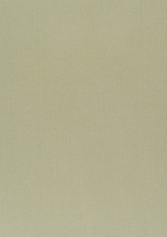 321_Amilly_54_Vion_Sponge/Vion 137 60% Cotton, 40% Polyester Бельгия 3 000 руб.