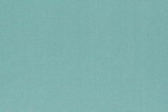 321_Amilly_40_Vion_Horizon/Vion 137 60% Cotton, 40% Polyester Бельгия 3 000 руб.