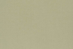 321_Amilly_54_Vion_Sponge/Vion 137 60% Cotton, 40% Polyester Бельгия 3 000 руб.