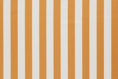 321_Amilly_76_Vira_Pumpkin/Vira 142 59% Cotton, 41% Polyester Бельгия 3 380 руб.