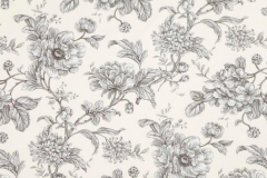 Aquitaine_Aquitaine_Charcoal