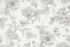 Aquitaine_Aquitaine_Charcoal_wp