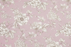 Aquitaine_Aquitaine_Dusky_rose