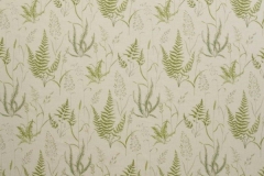 Botanica_Botanica_Willow