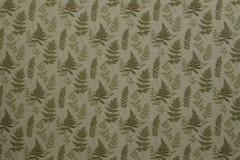 Botanica_Ferns_Willow