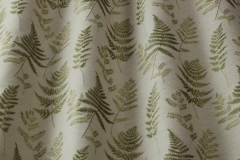 Botanica_Ferns_Willow_interior1