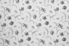 Botanica_Tulipa_Ebony