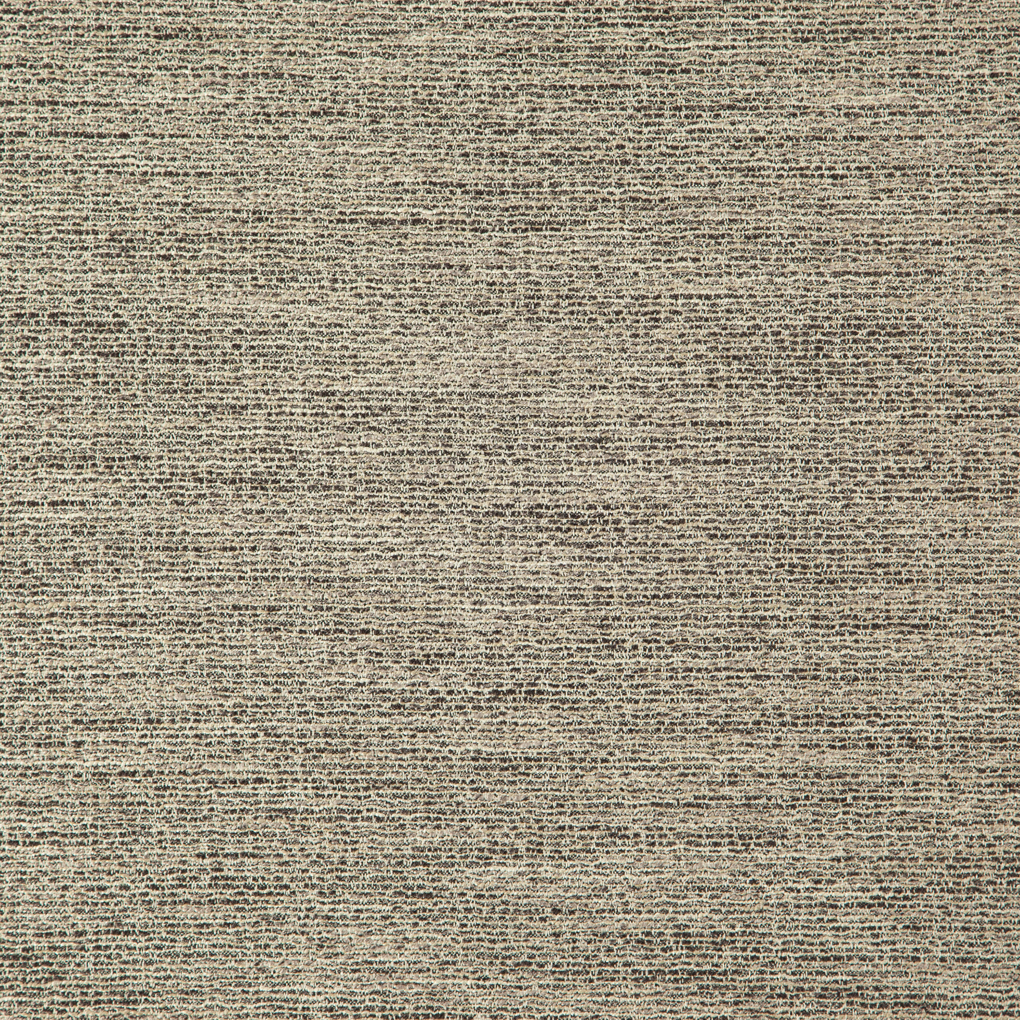 35900018