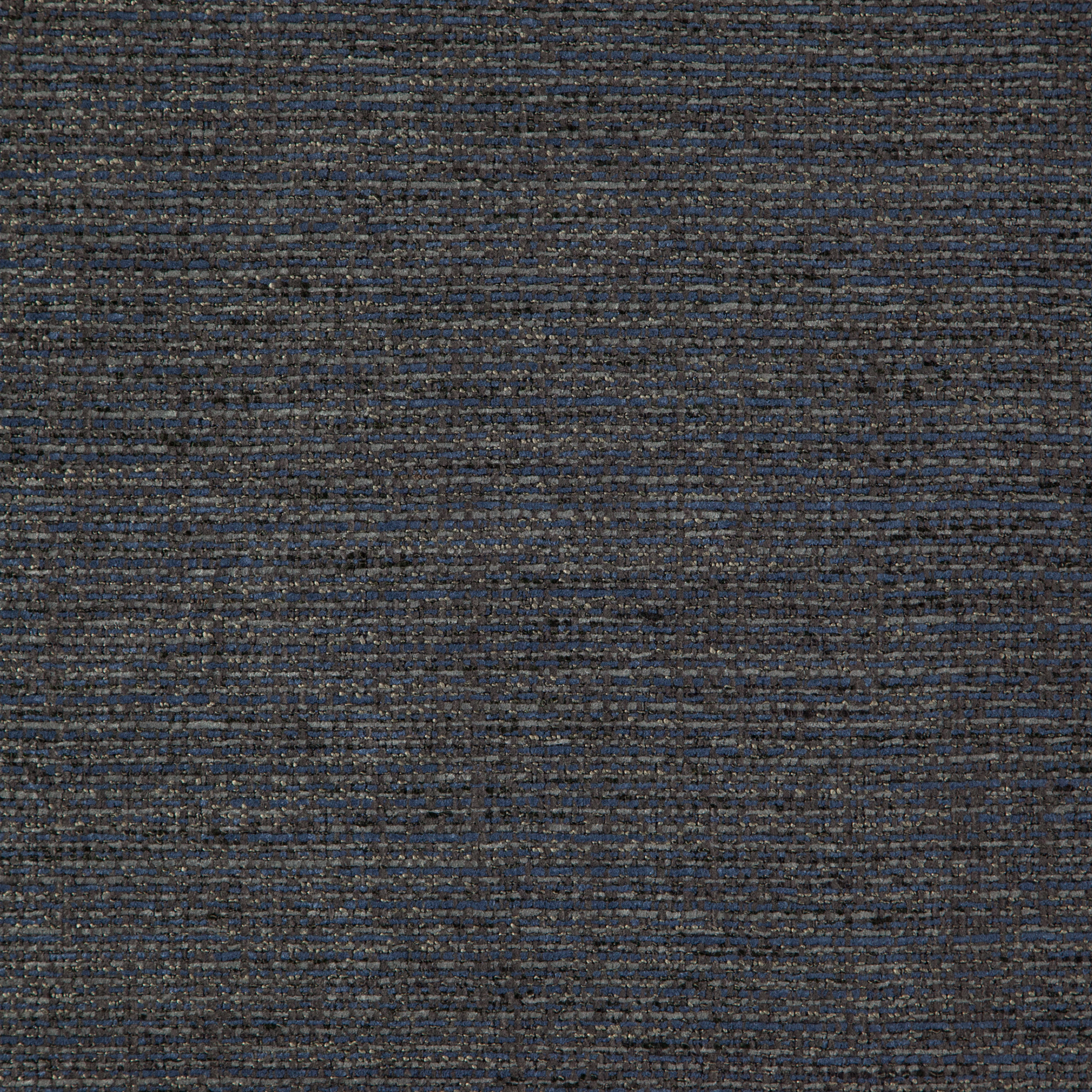 35900031