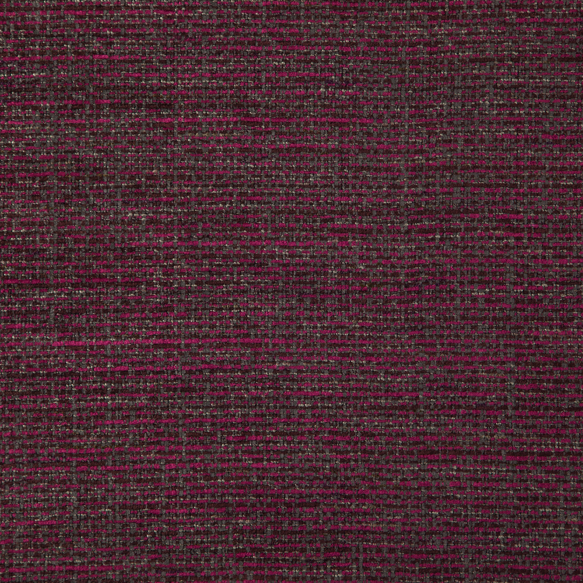 35900050