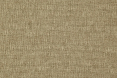 35900016