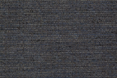 35900031