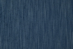 35900034