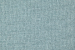 35900036