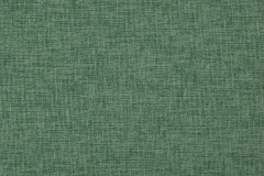 35900040