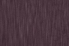 35900049