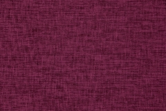 35900051