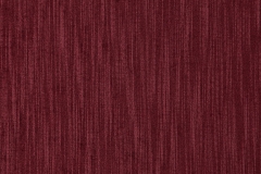 35900053