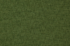 35900056