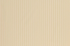 338_Candy_Stripes_80_Slate_Honey/Slate 304 100% Polyester Бельгия 4 500 руб.