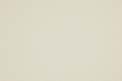 331_Cashmere_15_Cashmere_Parchment/Cashmere 146 100% Polyester Бельгия 3 100 руб.