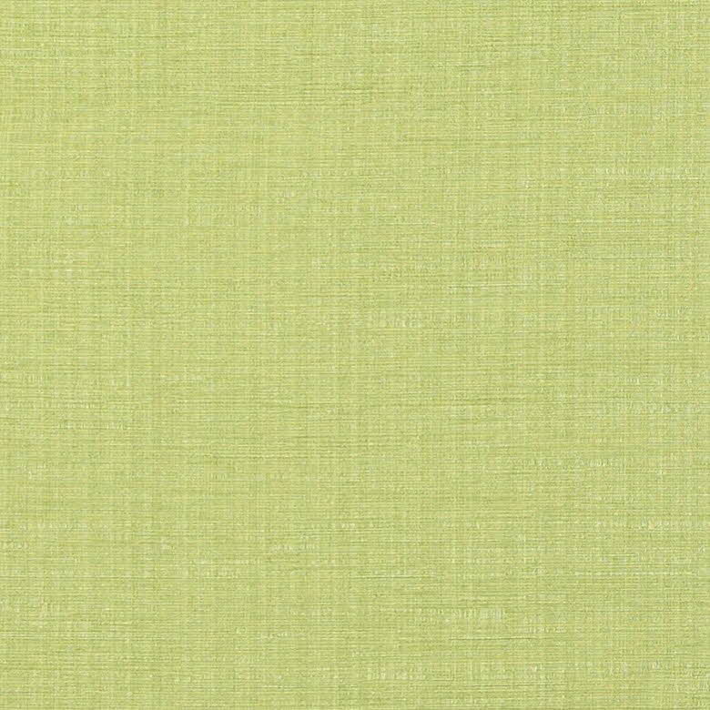 323_Cassel_49_Raville_Lime/Raville 138 100% Polyester Бельгия 3 400 руб.