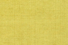 323_Cassel_36_Raville_Chartreuse/Raville 138 100% Polyester Бельгия 3 400 руб.