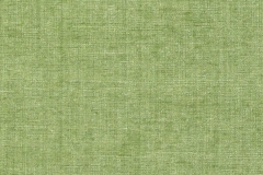 323_Cassel_48_Raville_Kiwi/Raville 138 100% Polyester Бельгия 3 400 руб.