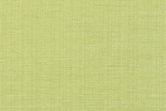 323_Cassel_49_Raville_Lime/Raville 138 100% Polyester Бельгия 3 400 руб.