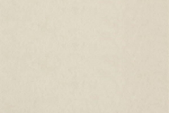 Chroma-_23-Champagne-100000223
