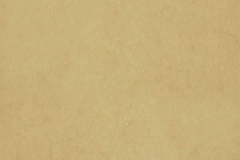 Chroma-_28-Custard-100000228