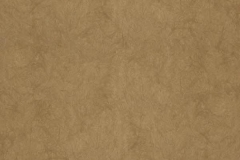 Chroma-_35-Caramel-100000235