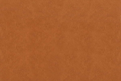 Chroma-_38-Copper-100000238