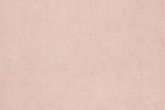 Chroma-_45-Blossom-100000245