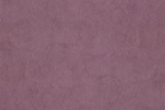 Chroma-_47-Plum-100000247