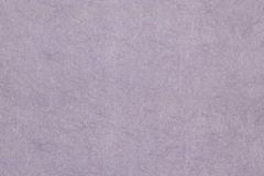 Chroma-_48-Lavender-100000248