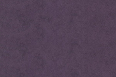 Chroma-_49-Aubergine-100000249