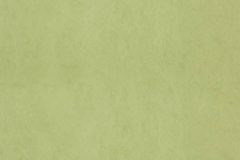 Chroma-_58-Lime-100000258
