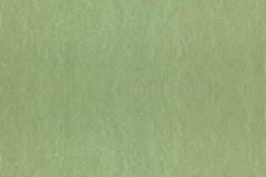 Chroma-_59-Linden-100000259