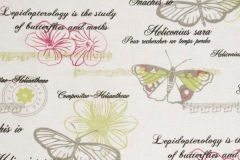 Decoupage_Decoupage_Chartreuse