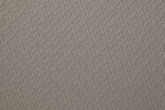 Dimensions_Mistral_Mulberry