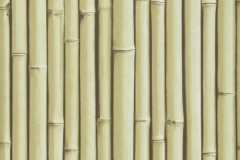 7500007