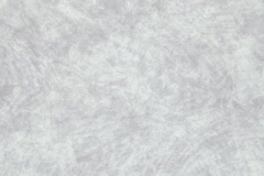 7500036