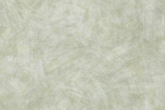 7500039