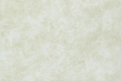 7500040
